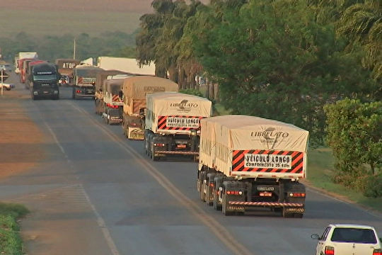 Agendamento online tenta acabar com filas no porto de Santos