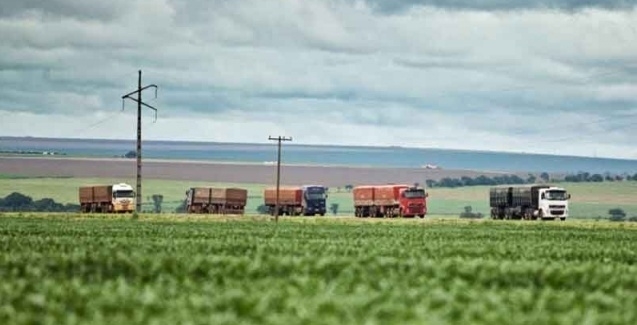 Recuperação nas vendas e implementos pesados é puxada pelo agronegócio.