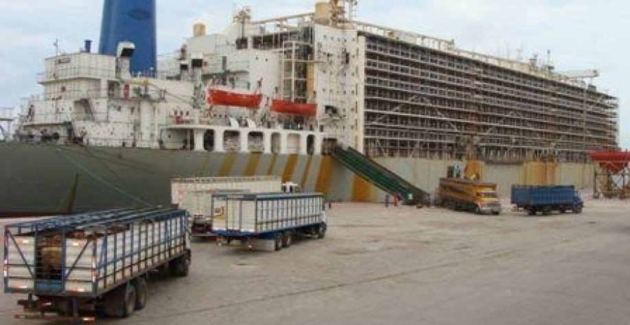 Da fazenda ao porto: como funciona o transporte de cargas vivas para exportação.
