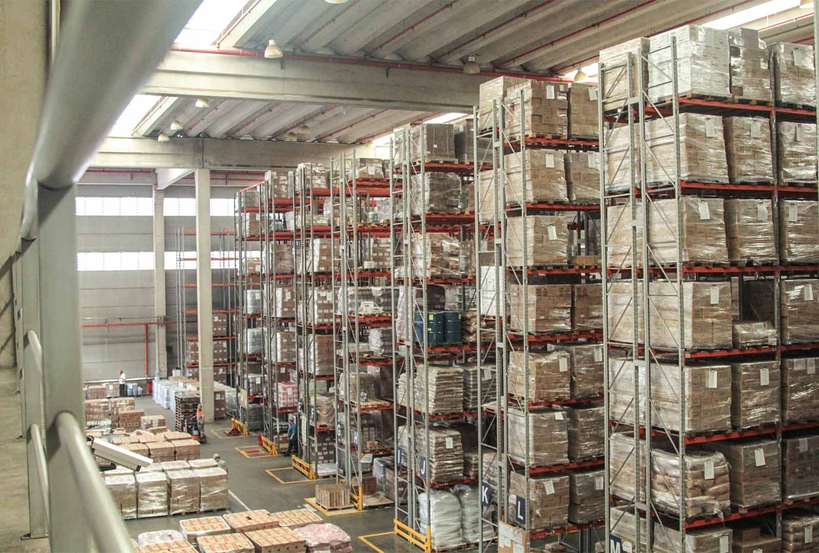 IBL Logística mira mercado de produtos orgânicos para crescer.
