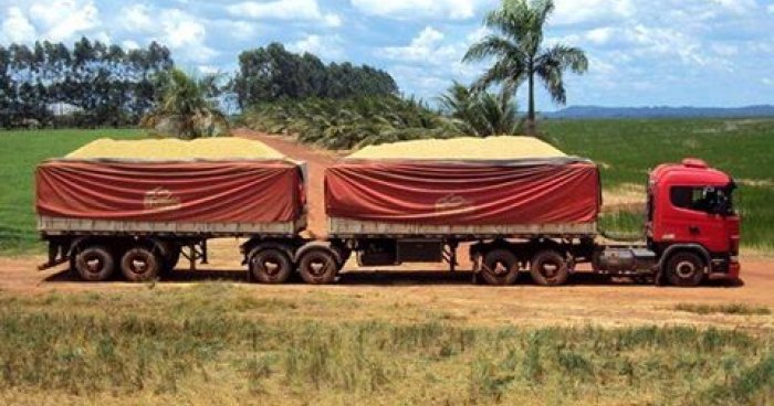 Safra de grãos volta a nível histórico com produção de 232 milhões de toneladas.