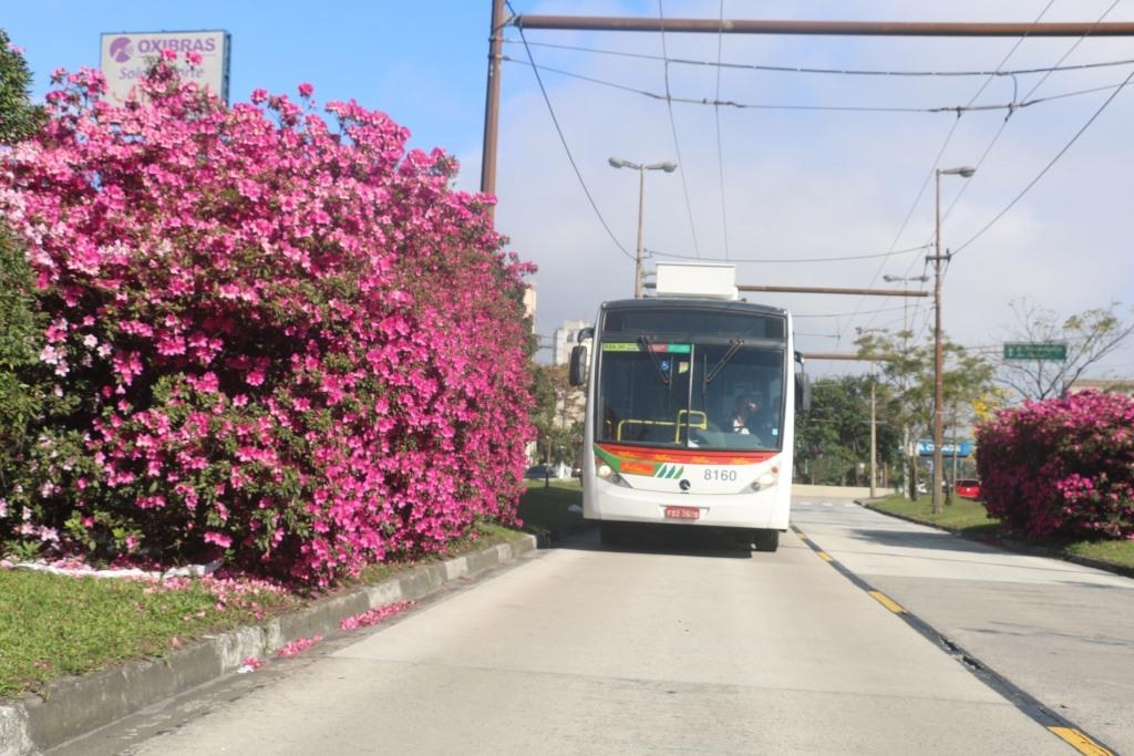 Metra contribui com a redução de cerca de 20.000 toneladas de CO2 lançadas no meio ambiente.